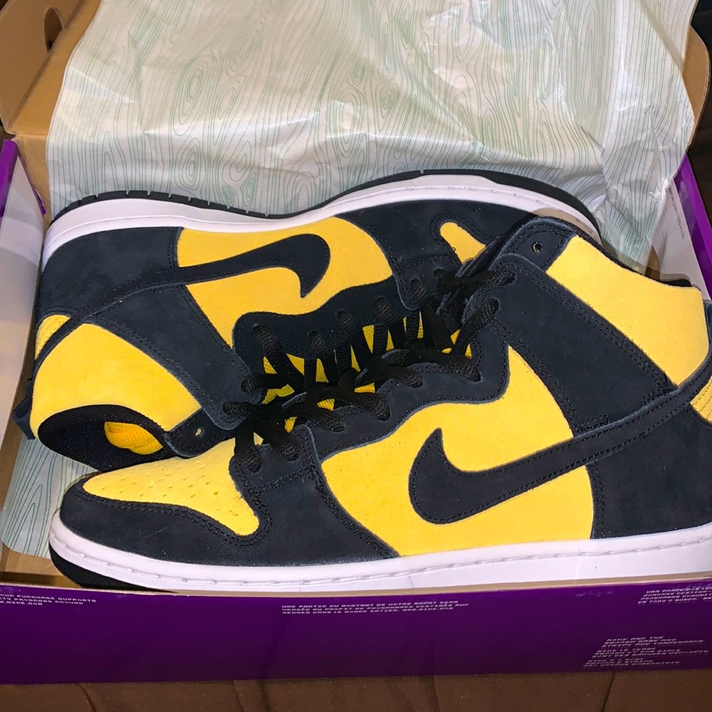 Nike SB Dunk High Pro